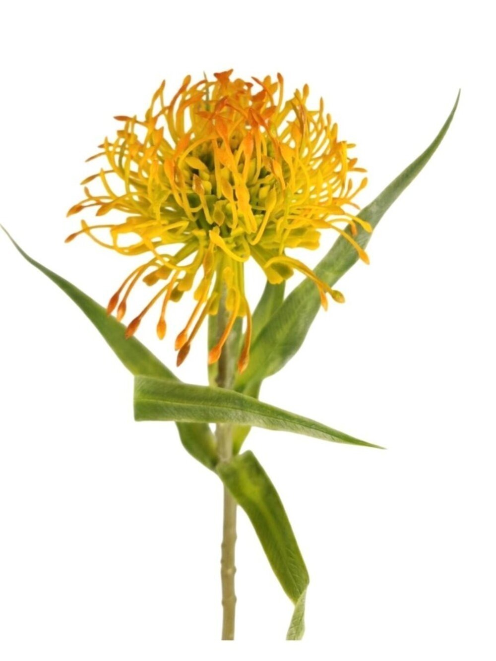 Yellow Orange Pincushion Protea Stem Artificial Leucospermum Flower
